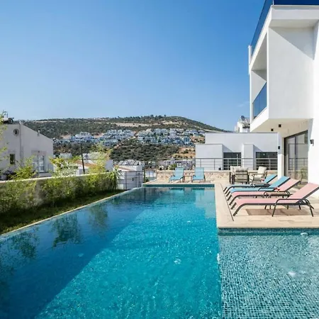 Onat Kalkan